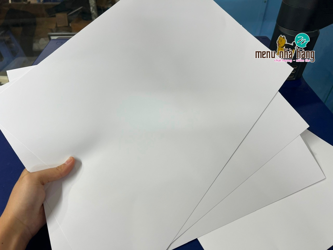In menu nhà hàng bằng giấy Couche