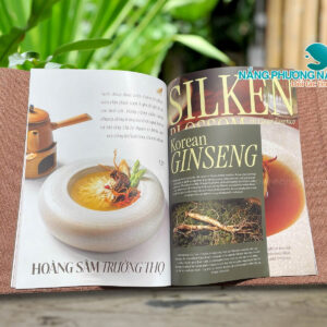 Thiết kế ruột menu bằng nhưa