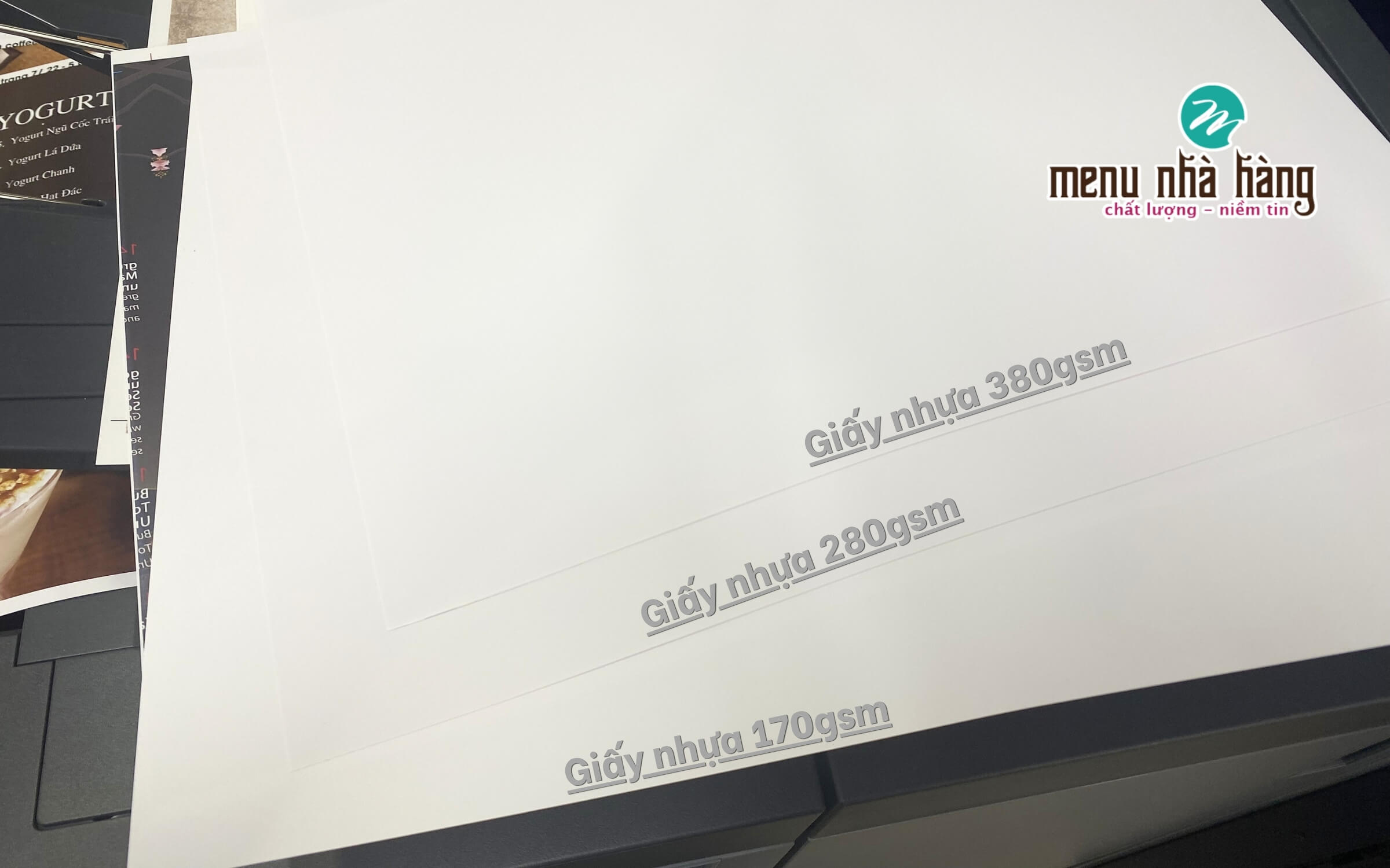 Các loại giấy nhựa in menu